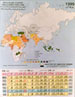 India and Islamic Countries: Female Literacy Rate (1995)
